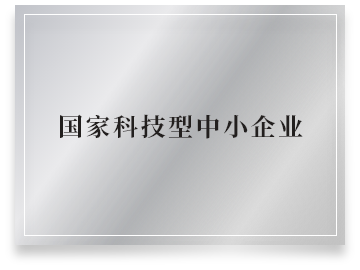 国家科技型中小企业