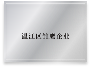 温江区雏鹰企业