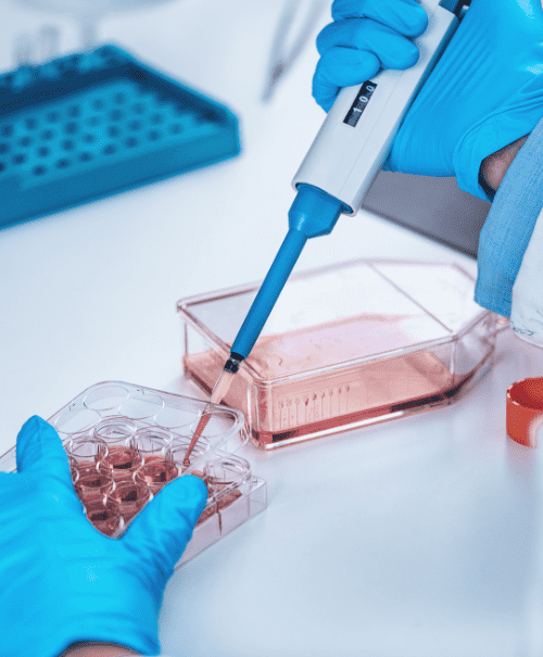 干细胞与再生医学研究